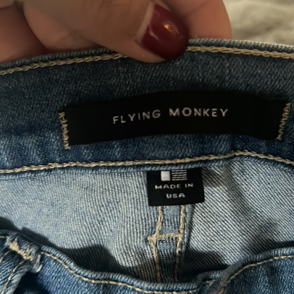 Flying monkey - Picture 2 of 8